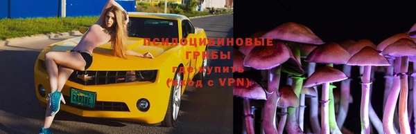 Альфа ПВП Инсар