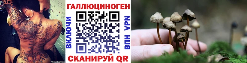 Псилоцибиновые грибы MAGIC MUSHROOMS  ОМГ ОМГ ссылка  Ядрин  купить наркотик 